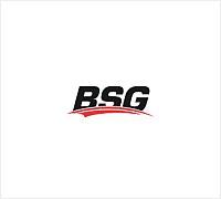 Prowadnica hamulca tarczowego kpl. BSG BSG 30-251-012