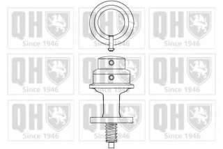 Pompa paliwa QUINTON HAZELL QFP313