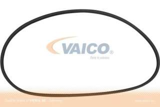 Uszczelka tylnej szyby VAICO V10-0888