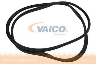Uszczelka przedniej szyby VAICO V10-3041