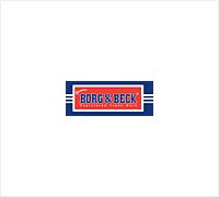 Poduszka silnika BORG & BECK BSM2014