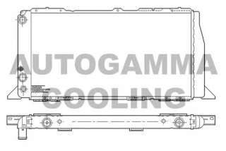 Chłodnica silnika AUTOGAMMA 100045