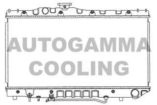 Chłodnica silnika AUTOGAMMA 101006