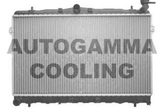 Chłodnica silnika AUTOGAMMA 101443
