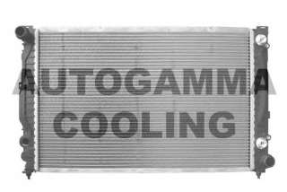 Chłodnica silnika AUTOGAMMA 102056
