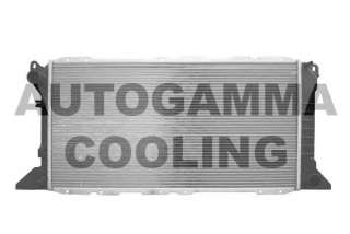 Chłodnica silnika AUTOGAMMA 102089