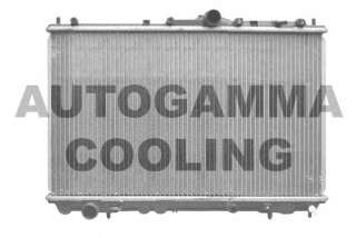 Chłodnica silnika AUTOGAMMA 102384