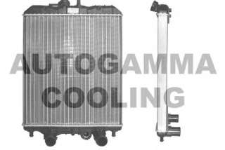 Chłodnica silnika AUTOGAMMA 102959
