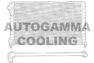 Chłodnica silnika AUTOGAMMA 102962