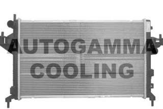 Chłodnica silnika AUTOGAMMA 103586