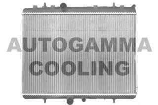 Chłodnica silnika AUTOGAMMA 103588