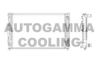 Chłodnica silnika AUTOGAMMA 103875