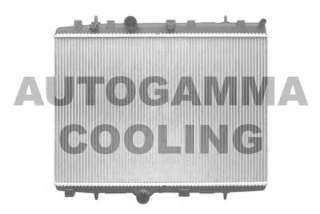 Chłodnica silnika AUTOGAMMA 103971