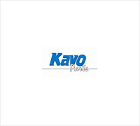 Pasek wieloklinowy KAVO PARTS DMV-2045