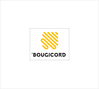 Zestaw przewodów zapłonowych BOUGICORD 4061